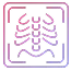 DICOM & PACS Software