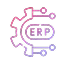 ERP Consulting ERP Consulting