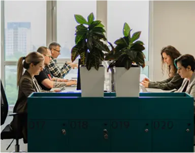 Enhance Mobile Accessibility with Salesforce Development Services for On-the-Go Management